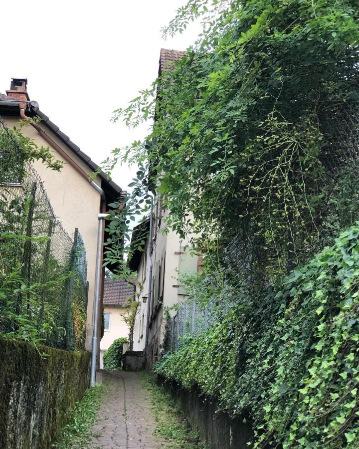 Ferienwohnung Am Gaessle エッテンハイム エクステリア 写真